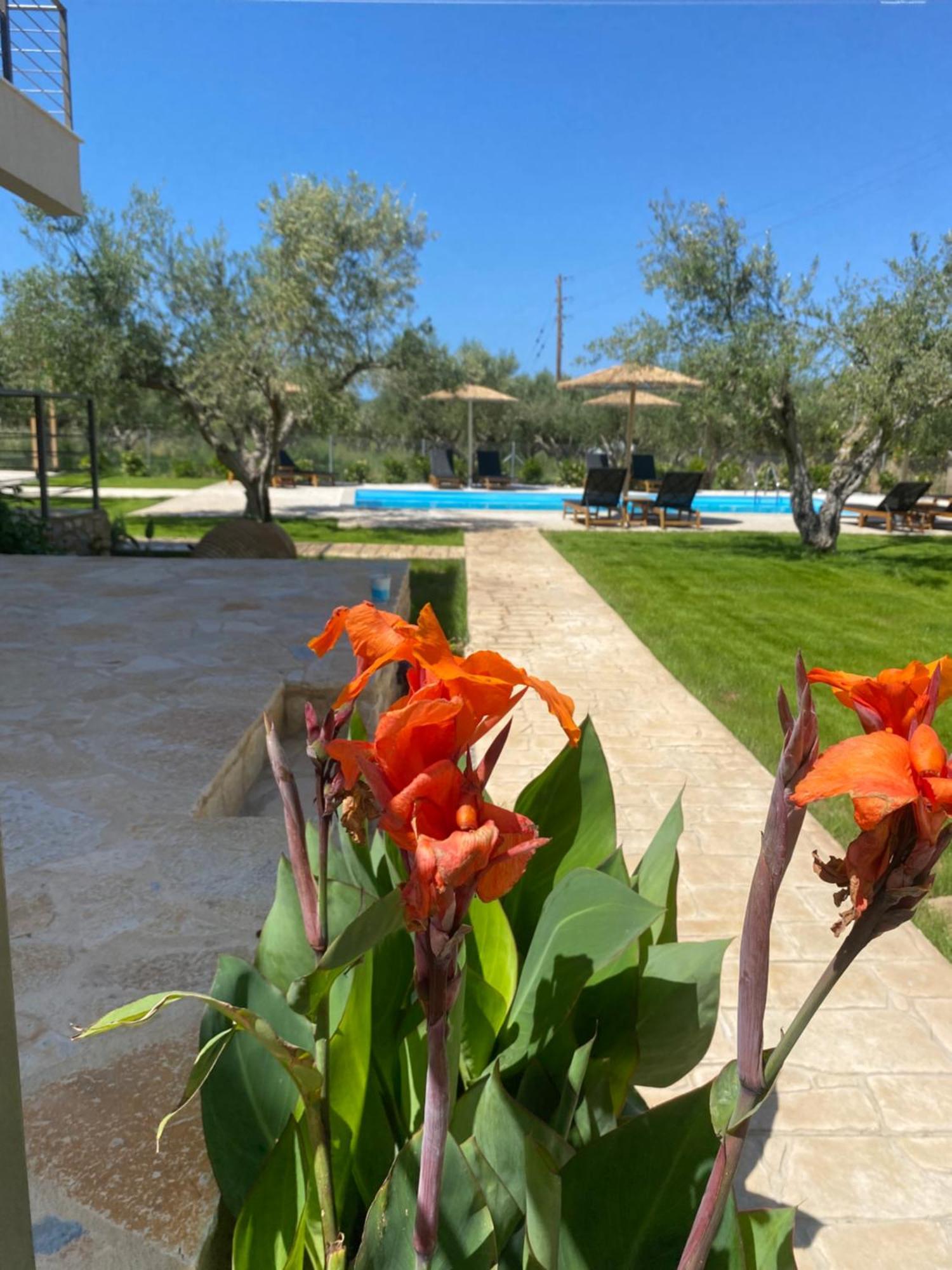 Three Charites Resort Гиалова Экстерьер фото
